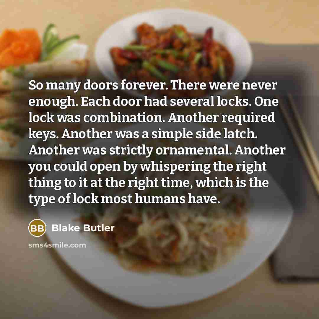 “So many doors forever. There were never enough. Each door had several locks. One lock was combination. Another required keys. Another was a simple side latch. Another was strictly ornamental. Another you could open by whispering the right thing to it at the right time, which is the type of lock…” quote by Blake Butler