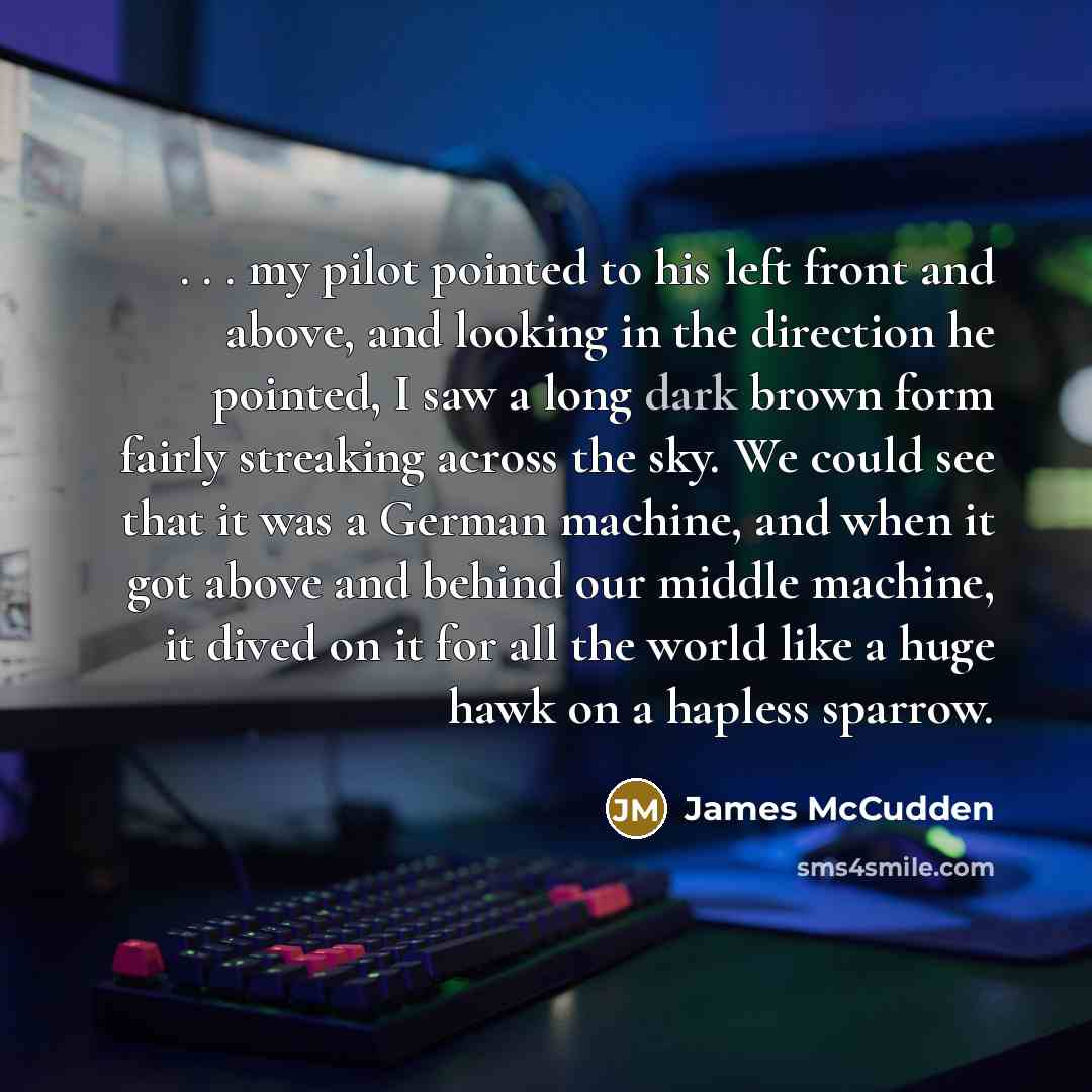 “. . . my pilot pointed to his left front and above, and looking in the direction he pointed, I saw a long dark brown form fairly streaking across the sky. We could see that it was a German machine, and when it got above and behind our middle machine, it dived on it for all the world like a huge…” quote by James McCudden