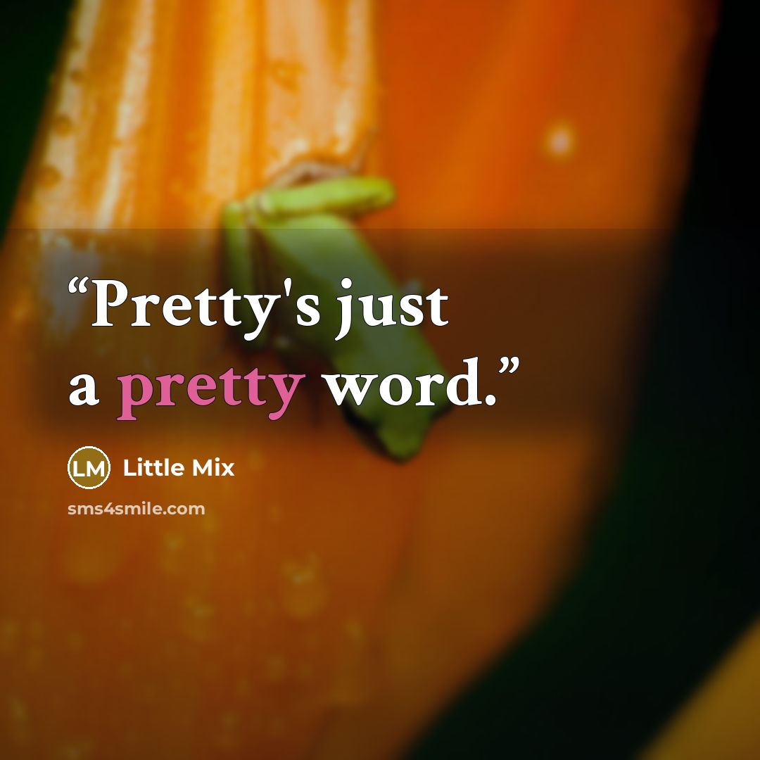 “Pretty's just a pretty word.” quote by Little Mix