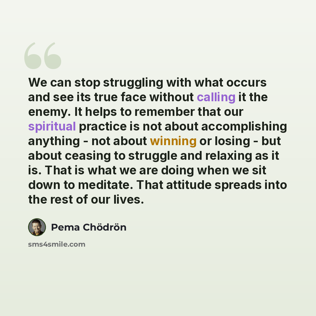 “We can stop struggling with what occurs and see its true face without calling it the enemy. It helps to remember that our spiritual practice is not about accomplishing anything - not about winning or losing - but about ceasing to struggle and relaxing as it is. That is what we are doing when we…” quote by Pema Chodron