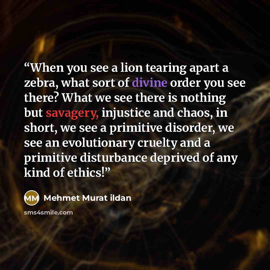“When you see a lion tearing apart a zebra, what sort of divine order you see there? What we see there is nothing but savagery, injustice and chaos, in short, we see a primitive disorder, we see an evolutionary cruelty and a primitive disturbance deprived of any kind of ethics!” quote by Mehmet Murat ildan