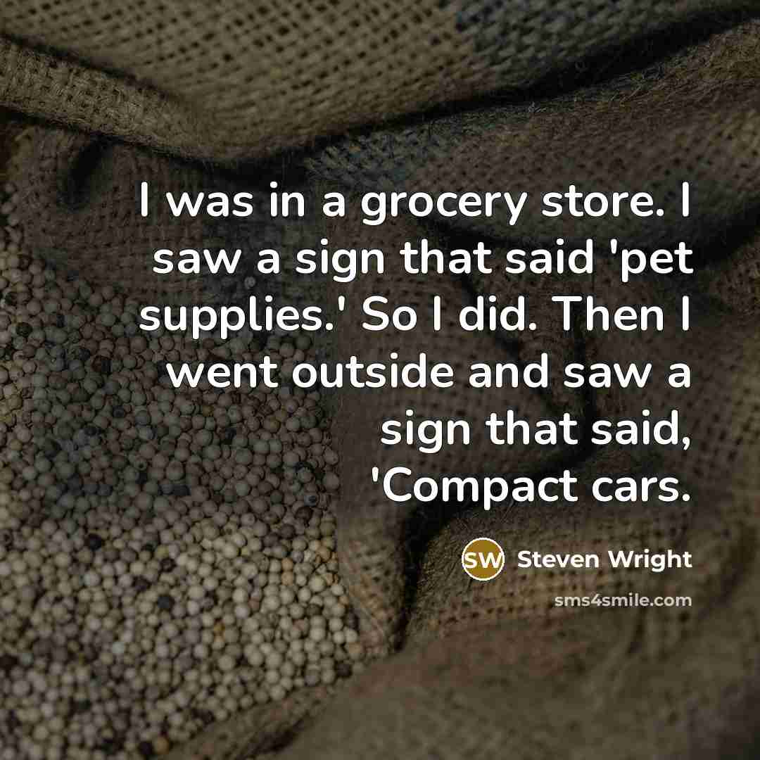 “I was in a grocery store. I saw a sign that said 'pet supplies.' So I did. Then I went outside and saw a sign that said, 'Compact cars.” quote by Steven Wright