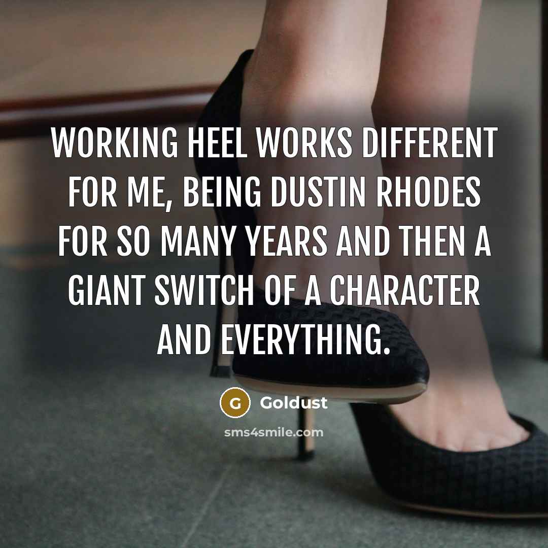 “Working heel works different for me, being Dustin Rhodes for so many years and then a giant switch of a character and everything.” quote by Goldust