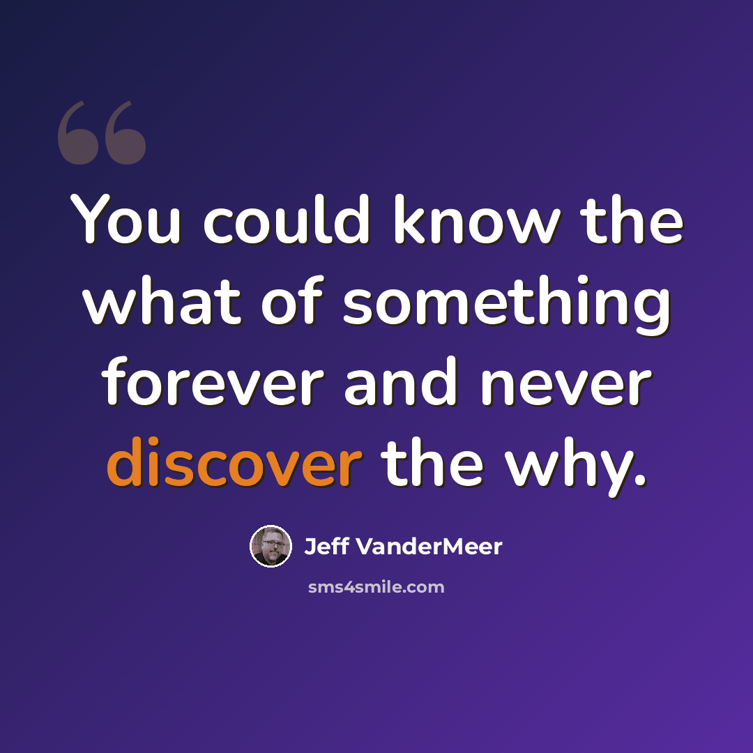 “You could know the what of something forever and never discover the why.” quote by Jeff VanderMeer