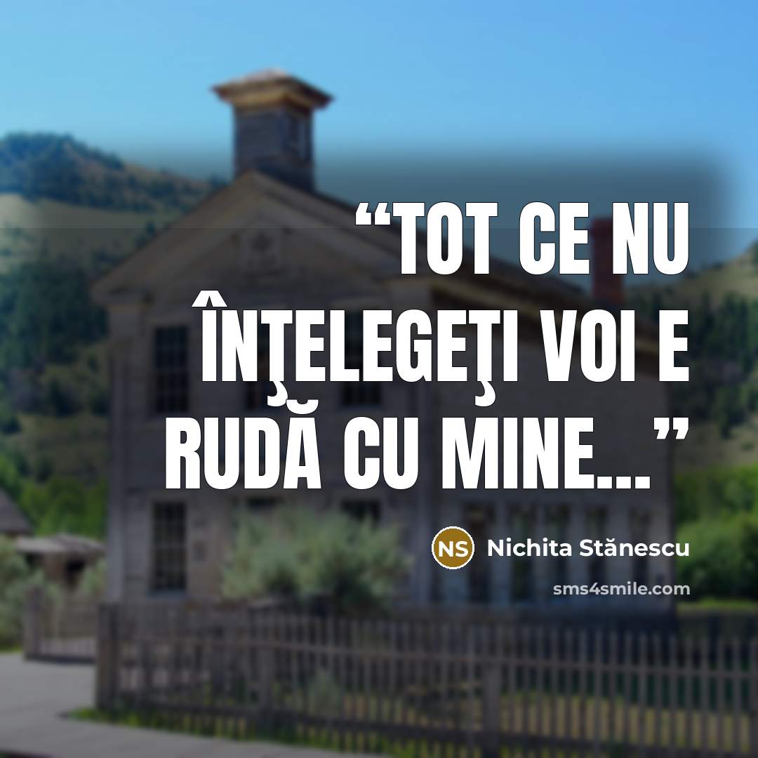 “Tot ce nu înţelegeţi voi e rudă cu mine...” quote by Nichita Stănescu