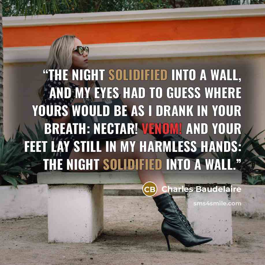 “The night solidified into a wall, and my eyes had to guess where yours would be as I drank in your breath: nectar! venom! and your feet lay still in my harmless hands: the night solidified into a wall.” quote by Charles Baudelaire