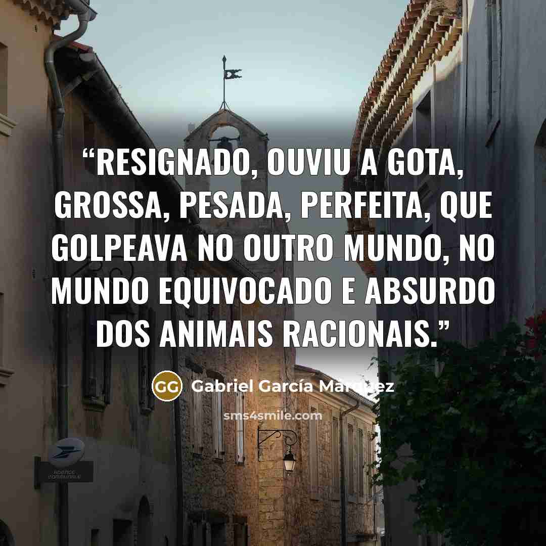 “Resignado, ouviu a gota, grossa, pesada, perfeita, que golpeava no outro mundo, no mundo equivocado e absurdo dos animais racionais.” quote by Gabriel García Márquez