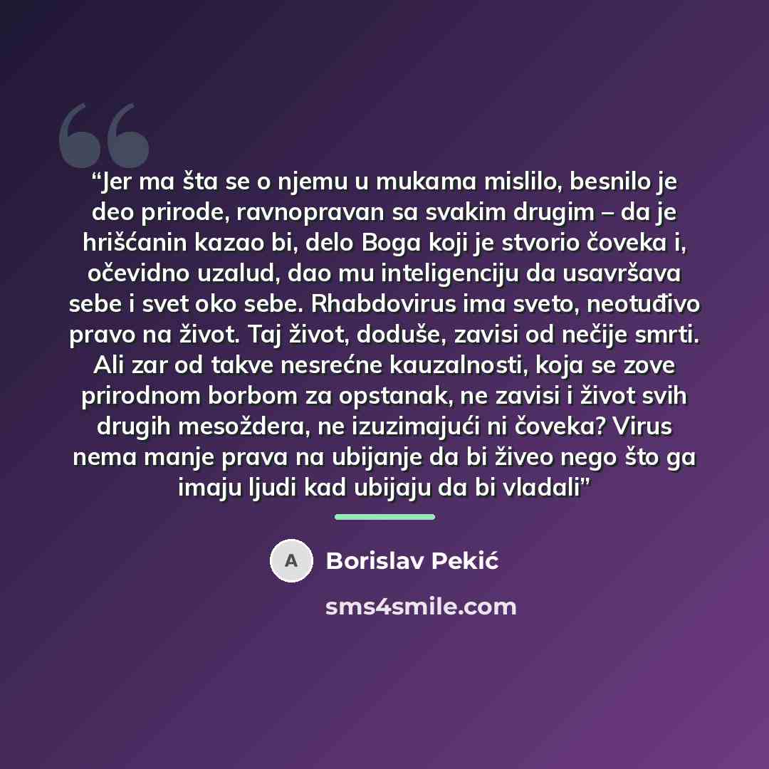 “Jer ma šta se o njemu u mukama mislilo, besnilo je deo prirode, ravnopravan sa svakim drugim – da je hrišćanin kazao bi, delo Boga koji je stvorio čoveka i, očevidno uzalud, dao mu inteligenciju da usavršava sebe i svet oko sebe. Rhabdovirus ima sveto, neotuđivo pravo na život. Taj život, doduše…” quote by Borislav Pekić