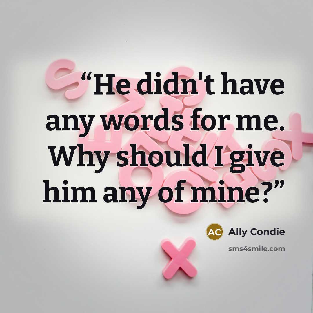 “He didn't have any words for me. Why should I give him any of mine?” quote by Ally Condie