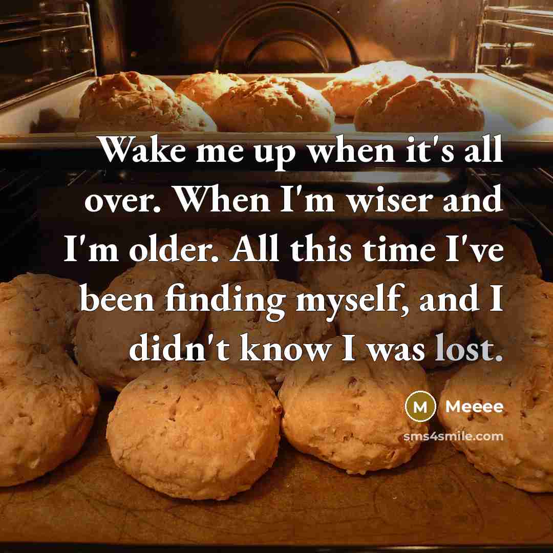 “Wake me up when it's all over. When I'm wiser and I'm older. All this time I've been finding myself, and I didn't know I was lost.” quote by Meeee