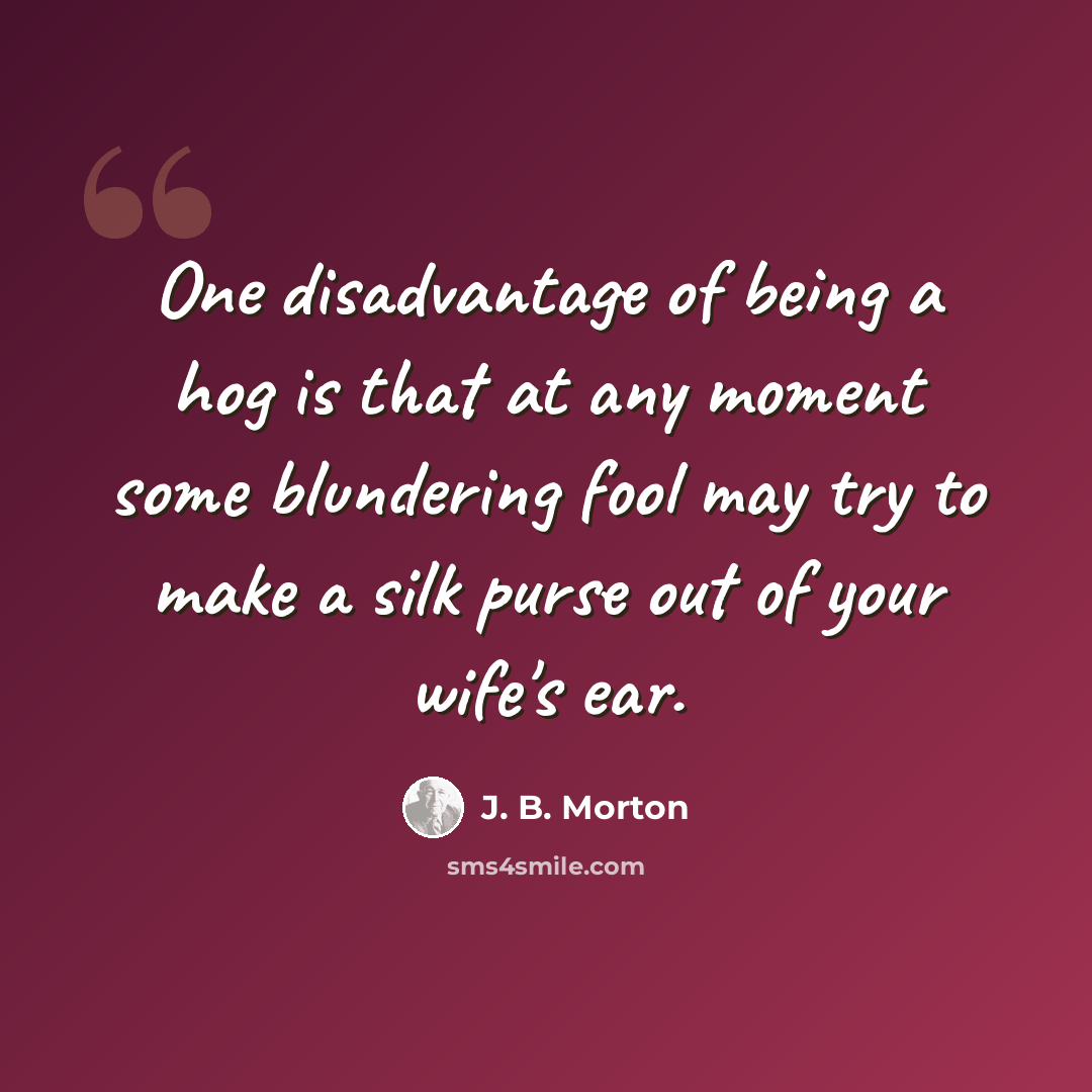 “One disadvantage of being a hog is that at any moment some blundering fool may try to make a silk purse out of your wife's ear.” quote by J. B. Morton
