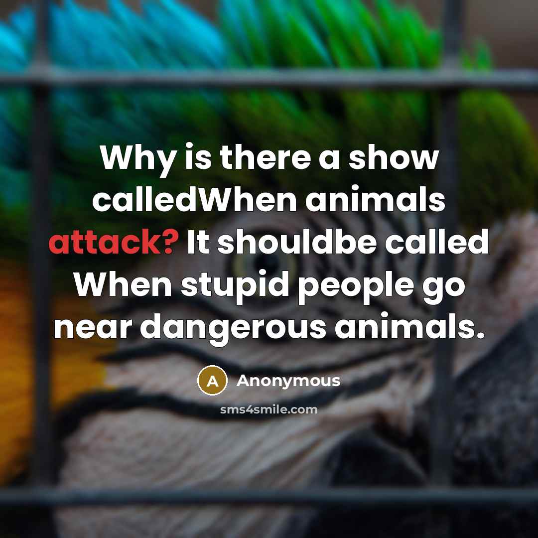 “Why is there a show calledWhen animals attack? It shouldbe called When stupid people go near dangerous animals.” quote by Anonymous