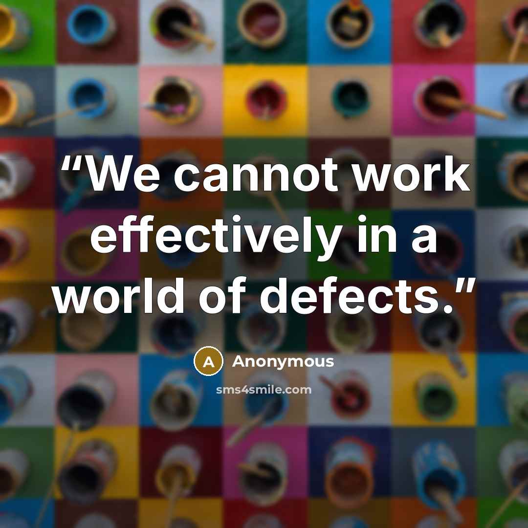 “We cannot work effectively in a world of defects.” quote by Anonymous
