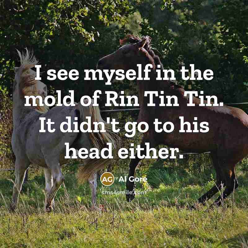 “I see myself in the mold of Rin Tin Tin. It didn't go to his head either.” quote by Al Gore