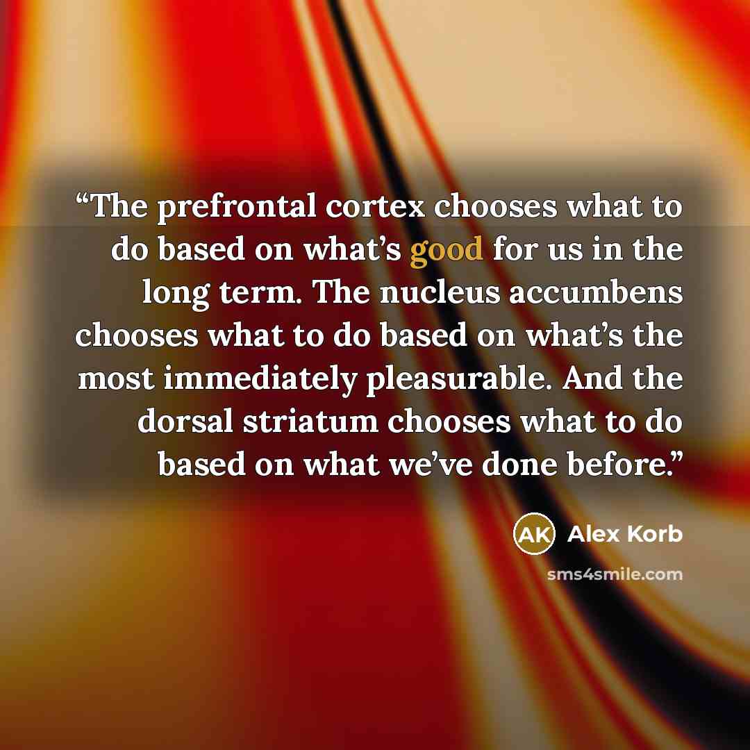 “The prefrontal cortex chooses what to do based on what’s good for us in the long term. The nucleus accumbens chooses what to do based on what’s the most immediately pleasurable. And the dorsal striatum chooses what to do based on what we’ve done before.” quote by Alex Korb