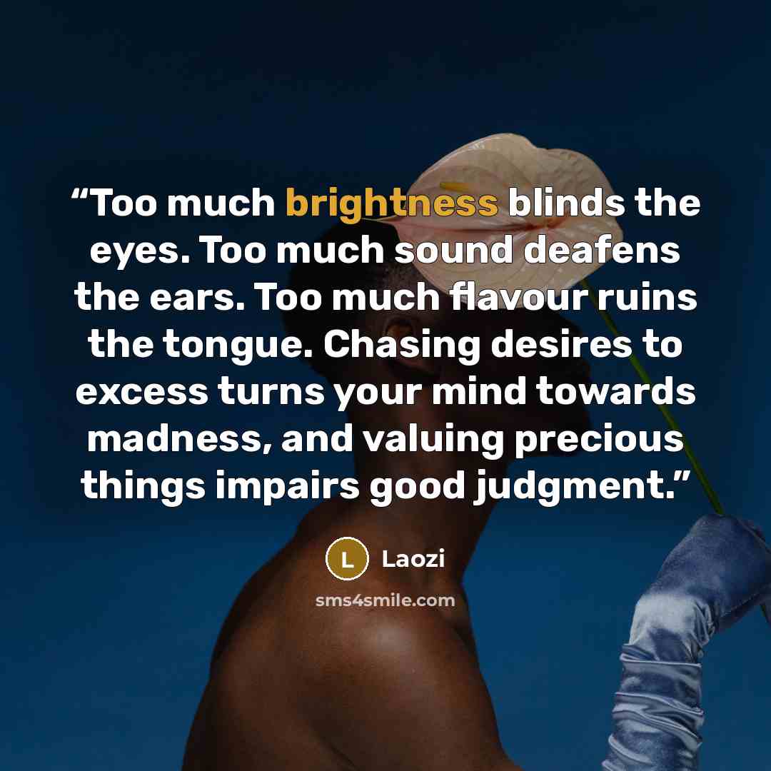 “Too much brightness blinds the eyes. Too much sound deafens the ears. Too much flavour ruins the tongue. Chasing desires to excess turns your mind towards madness, and valuing precious things impairs good judgment.” quote by Laozi