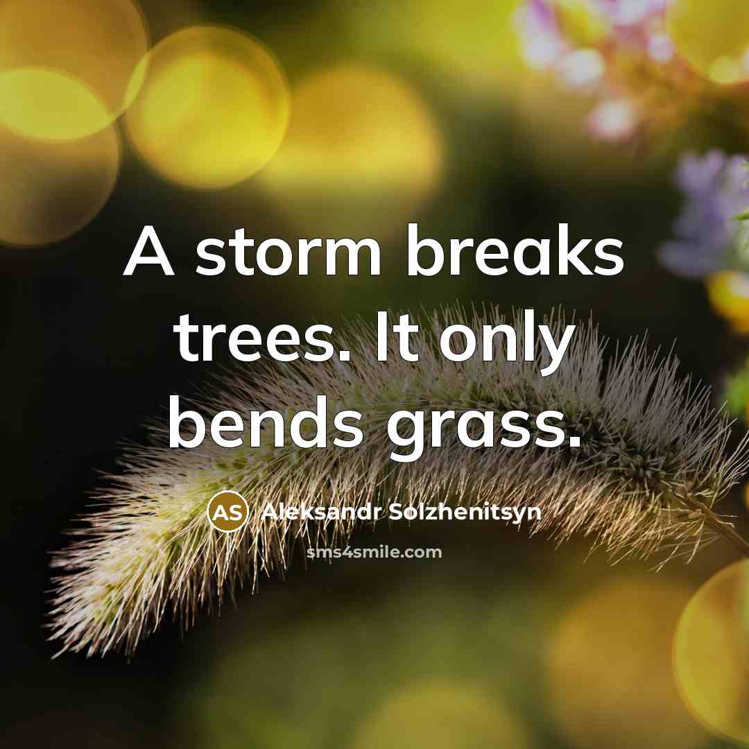 “A storm breaks trees. It only bends grass.” quote by Aleksandr Solzhenitsyn