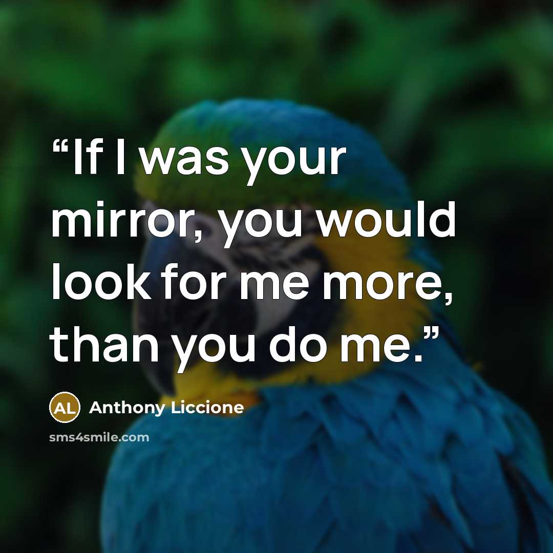 “If I was your mirror, you would look for me more, than you do me.” quote by Anthony Liccione