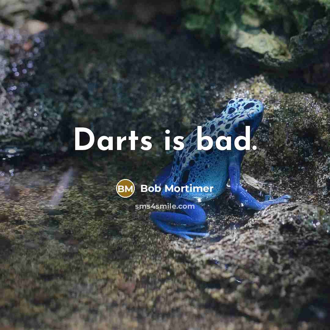 “Darts is bad.” quote by Bob Mortimer