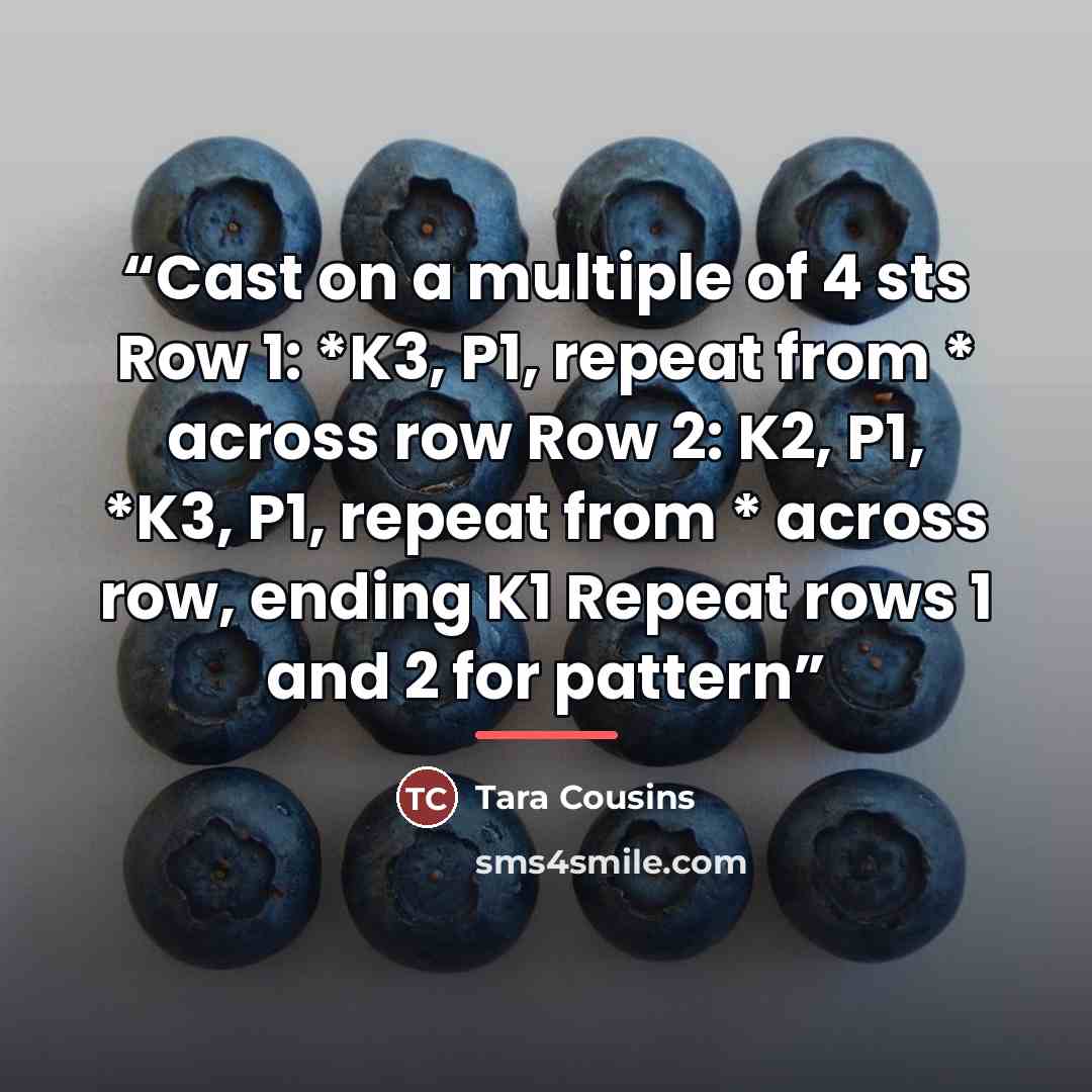 “Cast on a multiple of 4 sts Row 1: *K3, P1, repeat from * across row Row 2: K2, P1, *K3, P1, repeat from * across row, ending K1 Repeat rows 1 and 2 for pattern” quote by Tara Cousins
