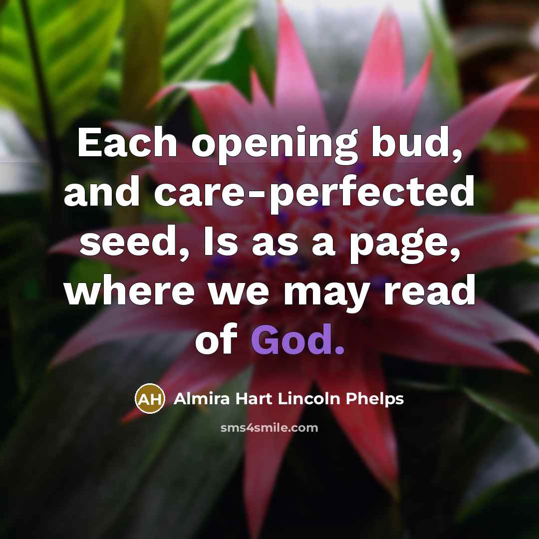“Each opening bud, and care-perfected seed, Is as a page, where we may read of God.” quote by Almira Hart Lincoln Phelps