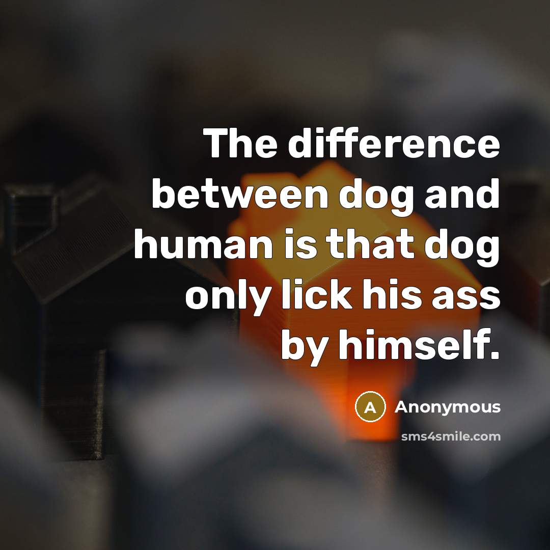 “The difference between dog and human is that dog only lick his ass by himself.” quote by Anonymous