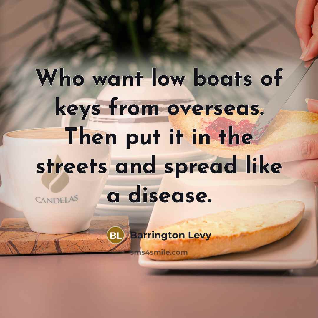 “Who want low boats of keys from overseas. Then put it in the streets and spread like a disease.” quote by Barrington Levy