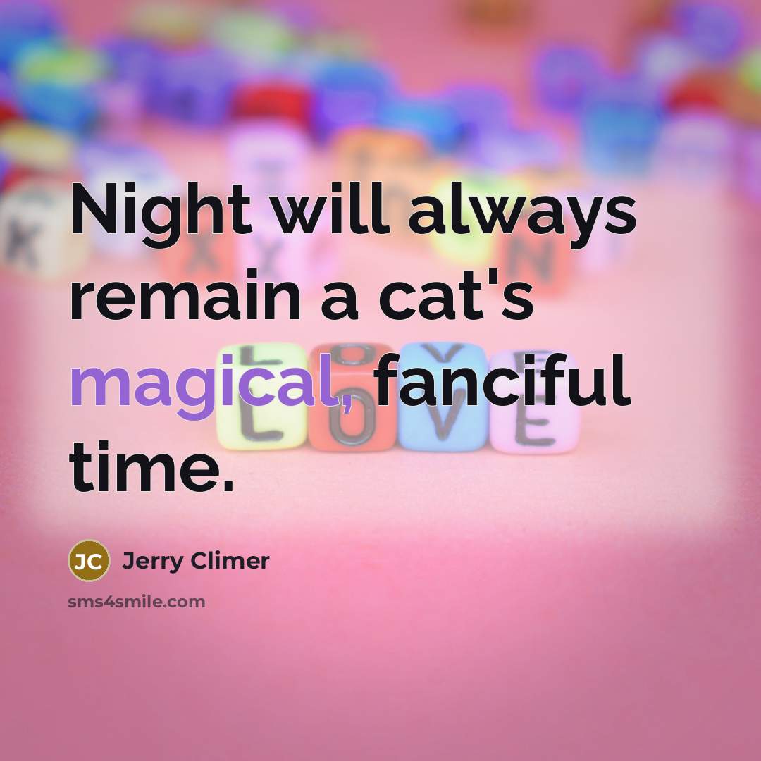 “Night will always remain a cat's magical, fanciful time.” quote by Jerry Climer