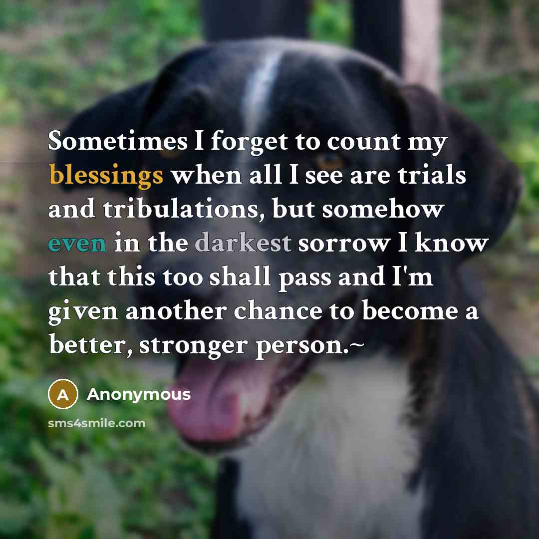 “Sometimes I forget to count my blessings when all I see are trials and tribulations, but somehow even in the darkest sorrow I know that this too shall pass and I'm given another chance to become a better, stronger person.~” quote by Anonymous