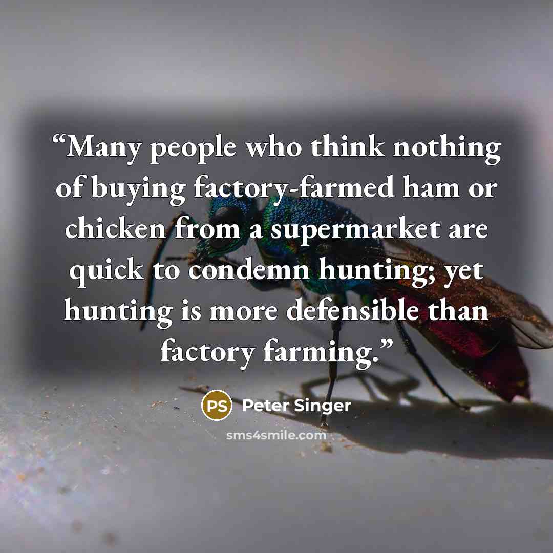 “Many people who think nothing of buying factory-farmed ham or chicken from a supermarket are quick to condemn hunting; yet hunting is more defensible than factory farming.” quote by Peter Singer
