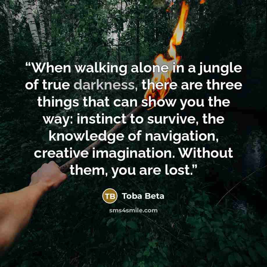 “When walking alone in a jungle of true darkness, there are three things that can show you the way: instinct to survive, the knowledge of navigation, creative imagination. Without them, you are lost.” quote by Toba Beta
