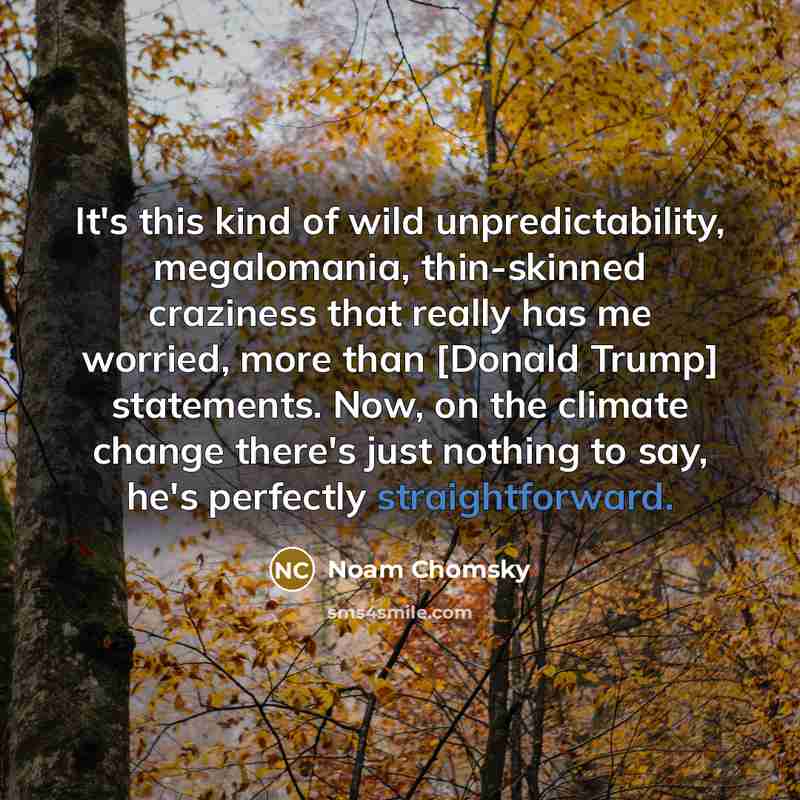 “It's this kind of wild unpredictability, megalomania, thin-skinned craziness that really has me worried, more than [Donald Trump] statements. Now, on the climate change there's just nothing to say, he's perfectly straightforward.” quote by Noam Chomsky