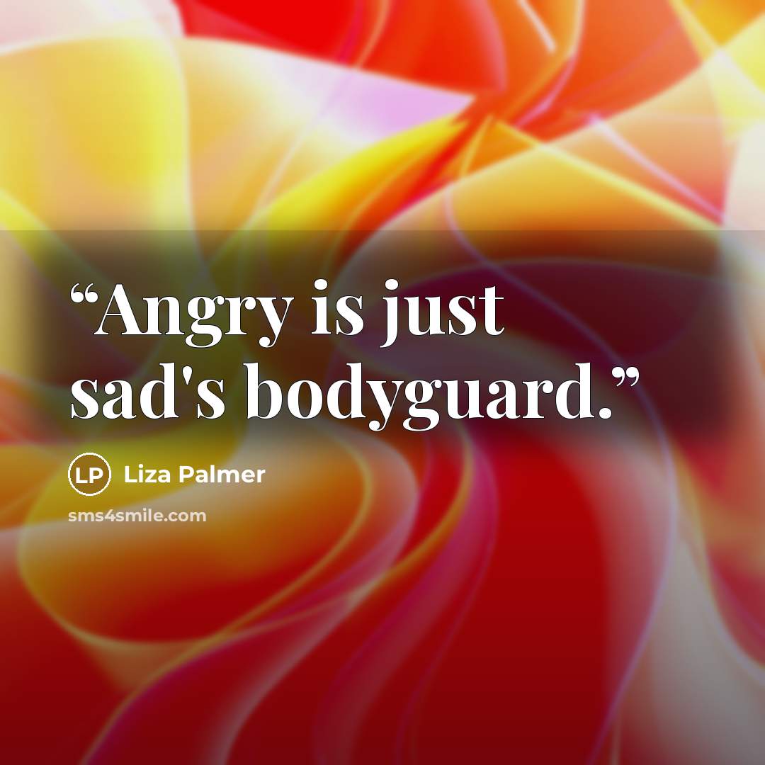 “Angry is just sad's bodyguard.” quote by Liza Palmer