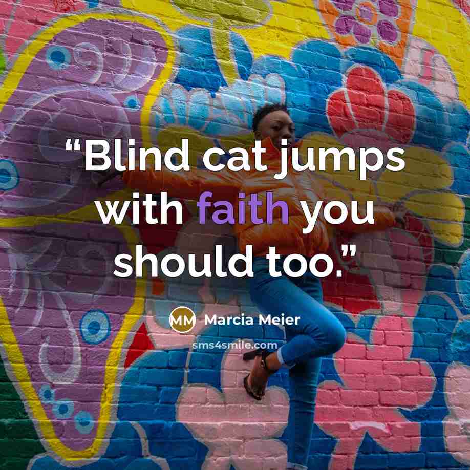 “Blind cat jumps with faith you should too.” quote by Marcia Meier
