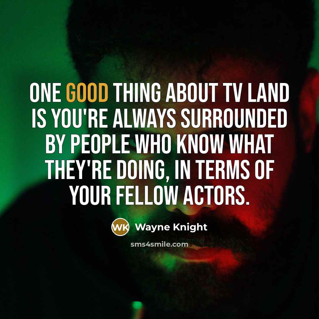 “One good thing about TV Land is you're always surrounded by people who know what they're doing, in terms of your fellow actors.” quote by Wayne Knight