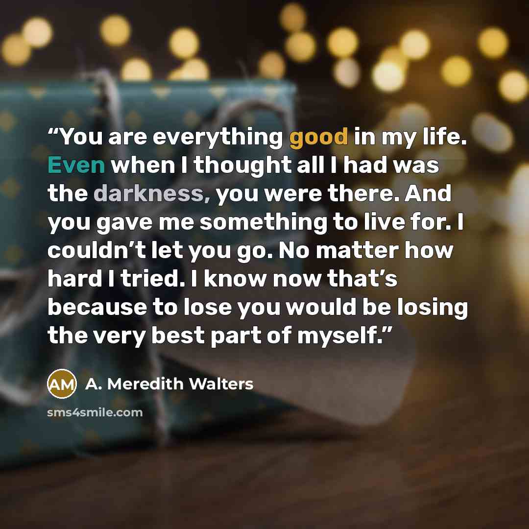 “You are everything good in my life. Even when I thought all I had was the darkness, you were there. And you gave me something to live for. I couldn’t let you go. No matter how hard I tried. I know now that’s because to lose you would be losing the very best part of myself.” quote by A. Meredith Walters
