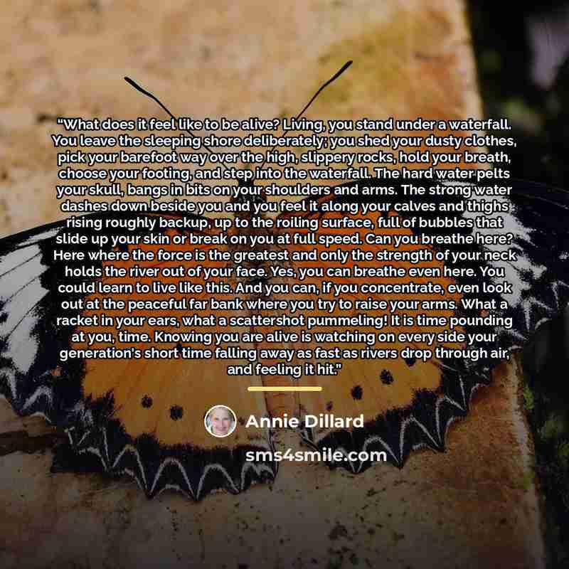 “What does it feel like to be alive? Living, you stand under a waterfall. You leave the sleeping shore deliberately; you shed your dusty clothes, pick your barefoot way over the high, slippery rocks, hold your breath, choose your footing, and step into the waterfall. The hard water pelts your…” quote by Annie Dillard