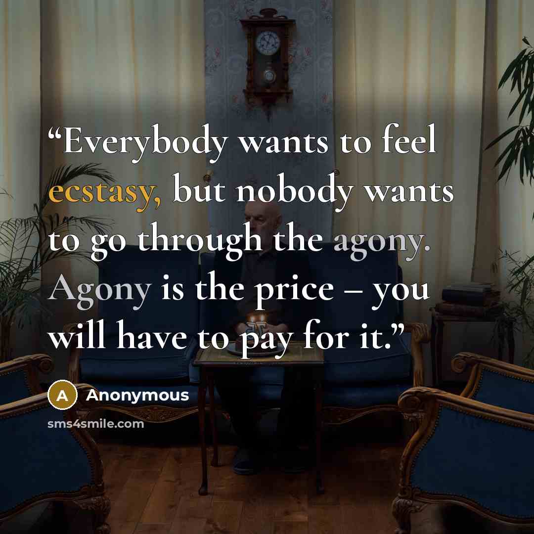 “Everybody wants to feel ecstasy, but nobody wants to go through the agony. Agony is the price – you will have to pay for it.” quote by Anonymous