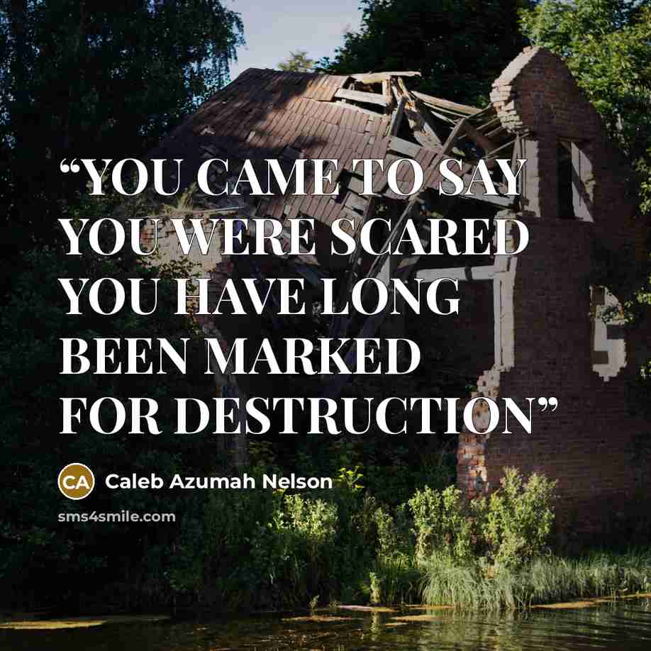 “YOU CAME TO SAY YOU WERE SCARED YOU HAVE LONG BEEN MARKED FOR DESTRUCTION” quote by Caleb Azumah Nelson