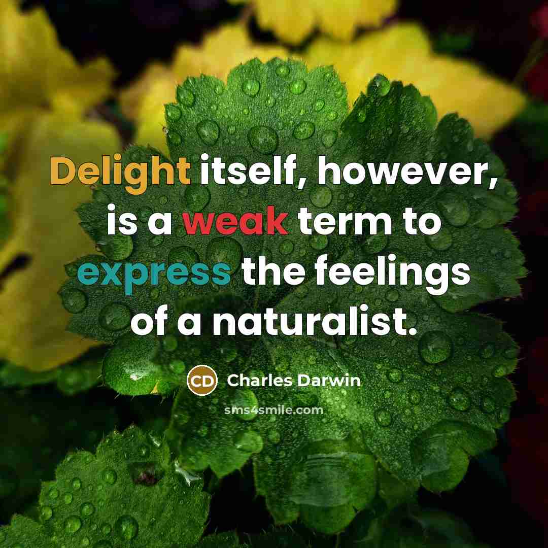 “Delight itself, however, is a weak term to express the feelings of a naturalist.” quote by Charles Darwin