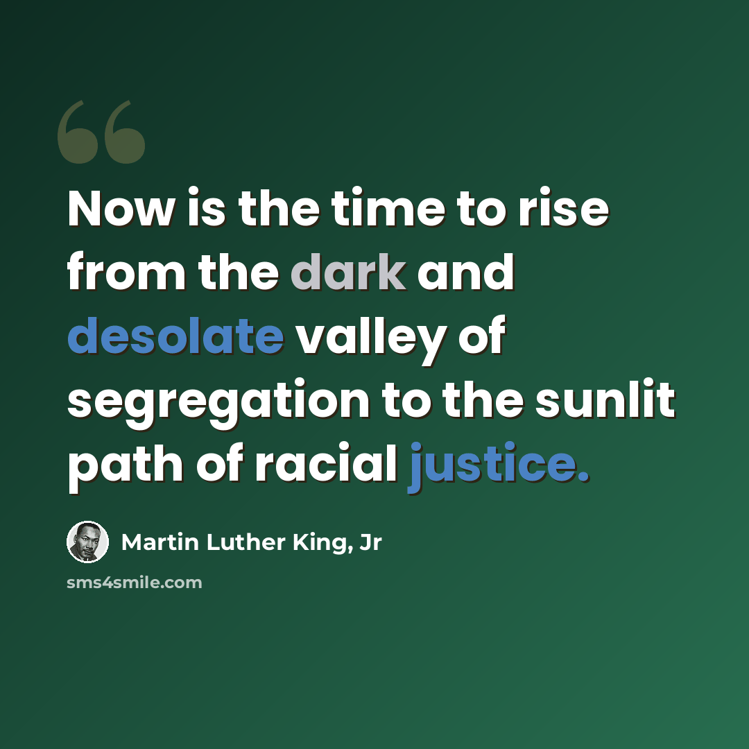 “Now is the time to rise from the dark and desolate valley of segregation to the sunlit path of racial justice.” quote by Martin Luther King, Jr