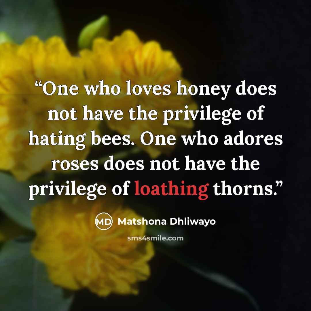 “One who loves honey does not have the privilege of hating bees. One who adores roses does not have the privilege of loathing thorns.” quote by Matshona Dhliwayo