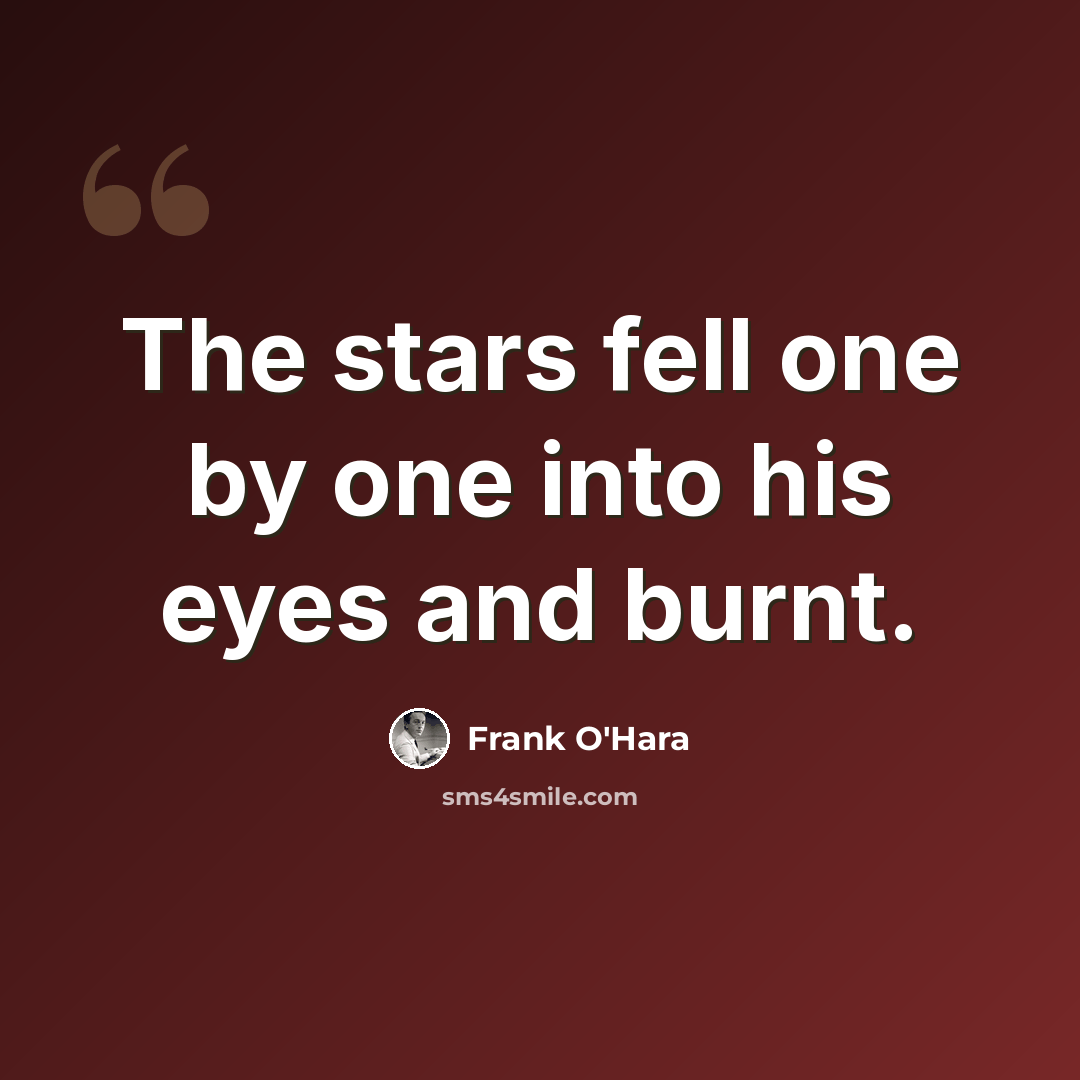 “The stars fell one by one into his eyes and burnt.” quote by Frank O'Hara