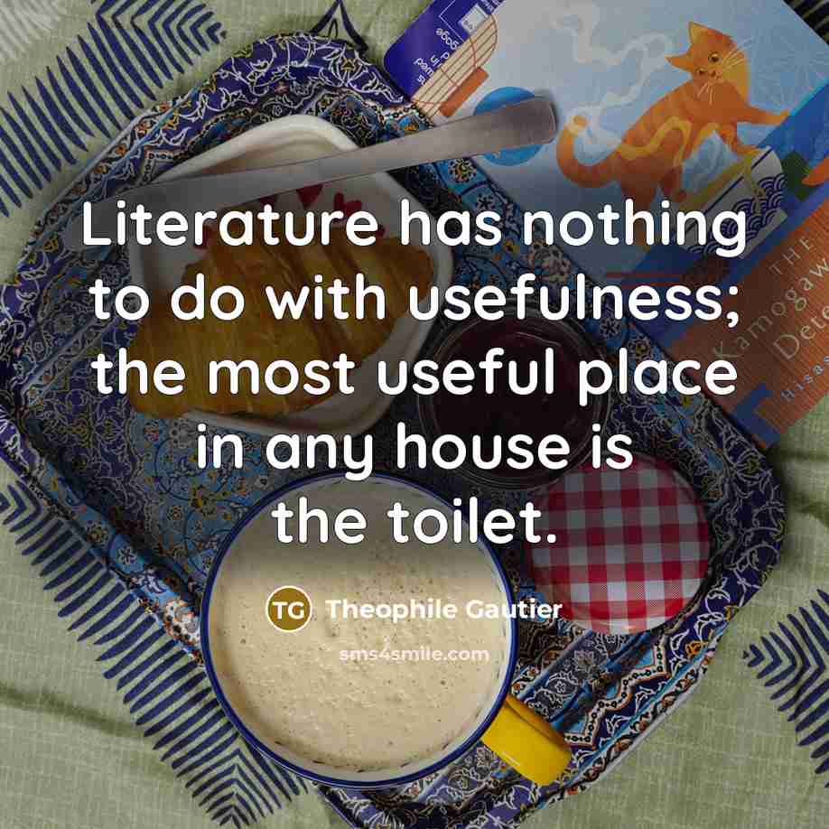 “Literature has nothing to do with usefulness; the most useful place in any house is the toilet.” quote by Theophile Gautier