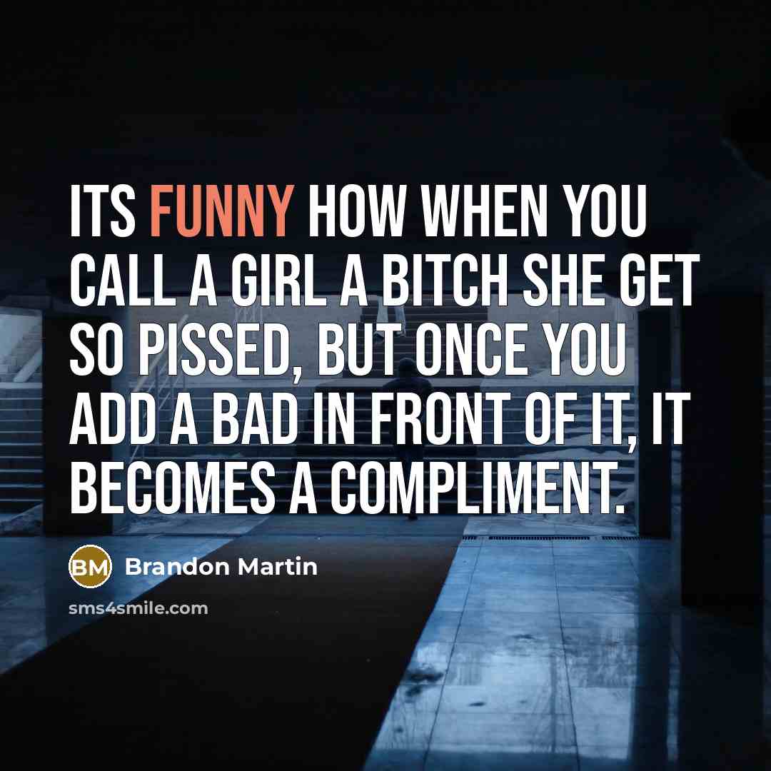 “Its funny how when you call a girl a bitch she get so pissed, but once you add a bad in front of it, it becomes a compliment.” quote by Brandon Martin