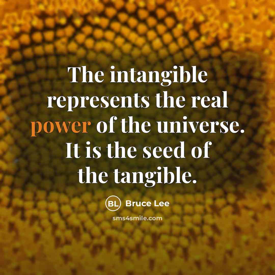 “The intangible represents the real power of the universe. It is the seed of the tangible.” quote by Bruce Lee