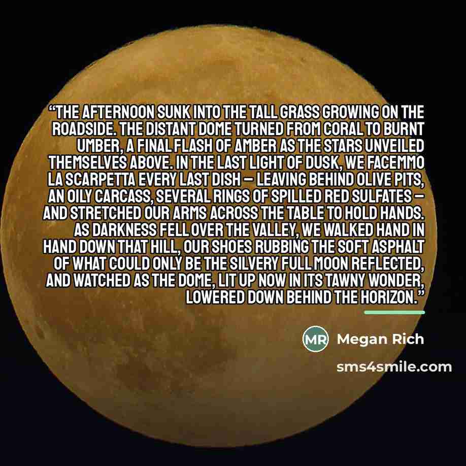 “The afternoon sunk into the tall grass growing on the roadside. The distant dome turned from coral to burnt umber, a final flash of amber as the stars unveiled themselves above. In the last light of dusk, we facemmo la scarpetta every last dish – leaving behind olive pits, an oily carcass, several…” quote by Megan Rich