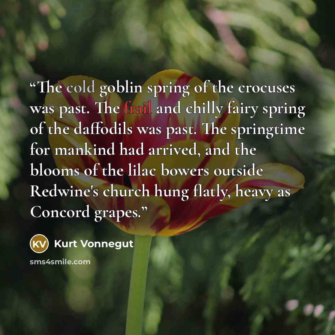 “The cold goblin spring of the crocuses was past. The frail and chilly fairy spring of the daffodils was past. The springtime for mankind had arrived, and the blooms of the lilac bowers outside Redwine's church hung flatly, heavy as Concord grapes.” quote by Kurt Vonnegut