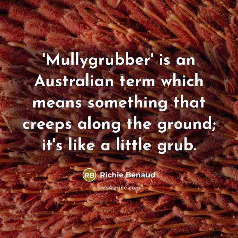 “'Mullygrubber' is an Australian term which means something that creeps along the ground; it's like a little grub.” quote by Richie Benaud