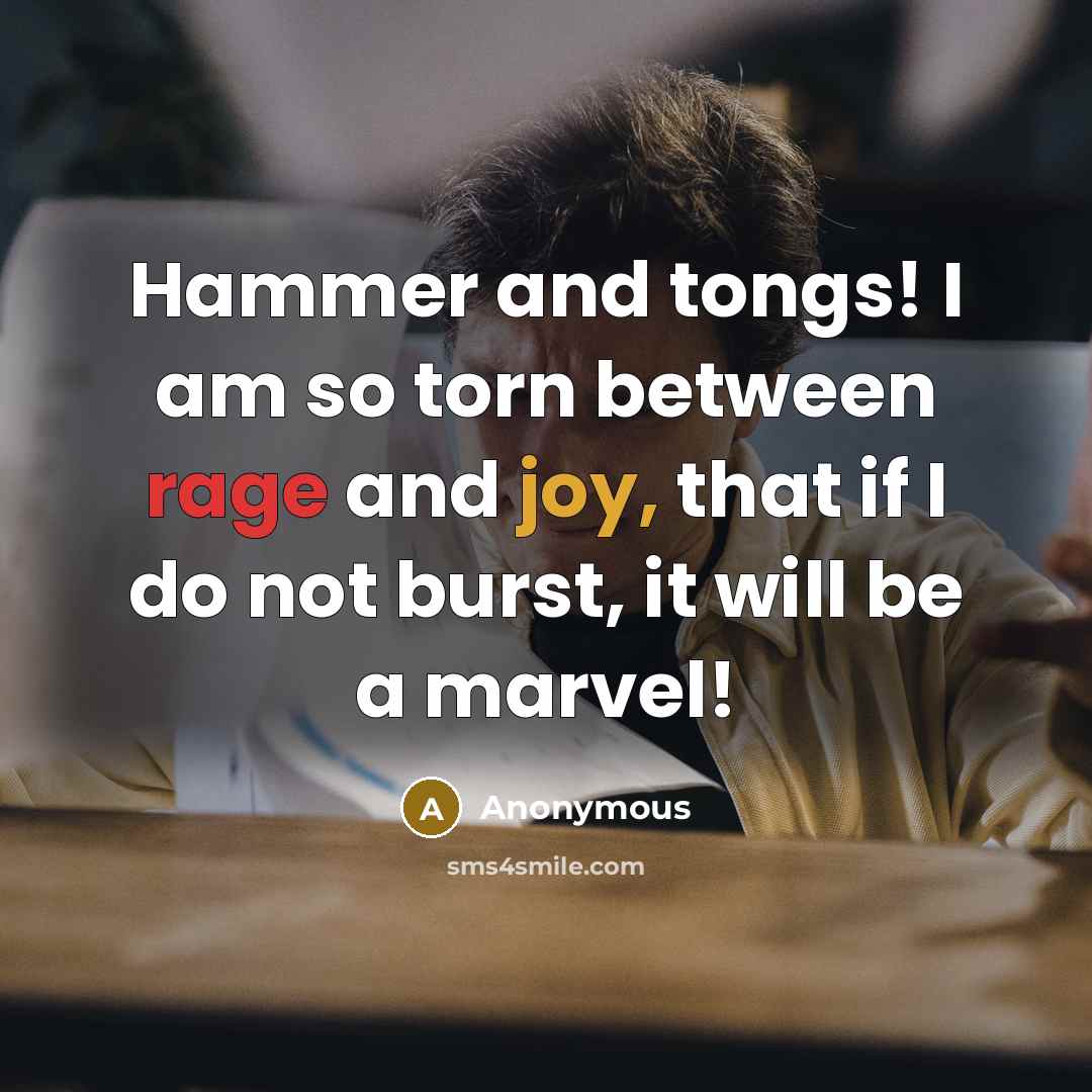 “Hammer and tongs! I am so torn between rage and joy, that if I do not burst, it will be a marvel!” quote by Anonymous